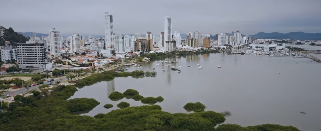 Despachante em Itajaí: Cuidamos da Sua Documentação com Excelência